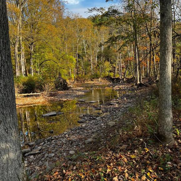 Meet your Posher, Donna - Picture 1 of 1